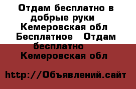 Отдам бесплатно в добрые руки - Кемеровская обл. Бесплатное » Отдам бесплатно   . Кемеровская обл.